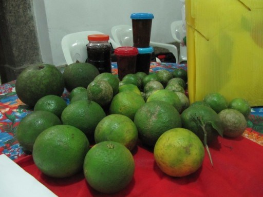 feira de todas as lutas feira de todas as lutas